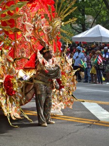 Fall Colours at West Indian Carnival, Brooklyn